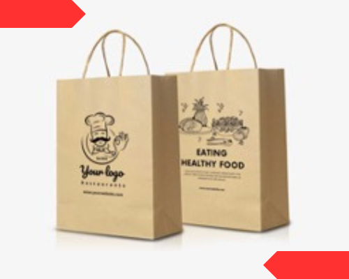 Twisted Rope Handles Paper Shopping Bag Manufacturers Noida